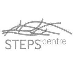 STEPS Centre logo